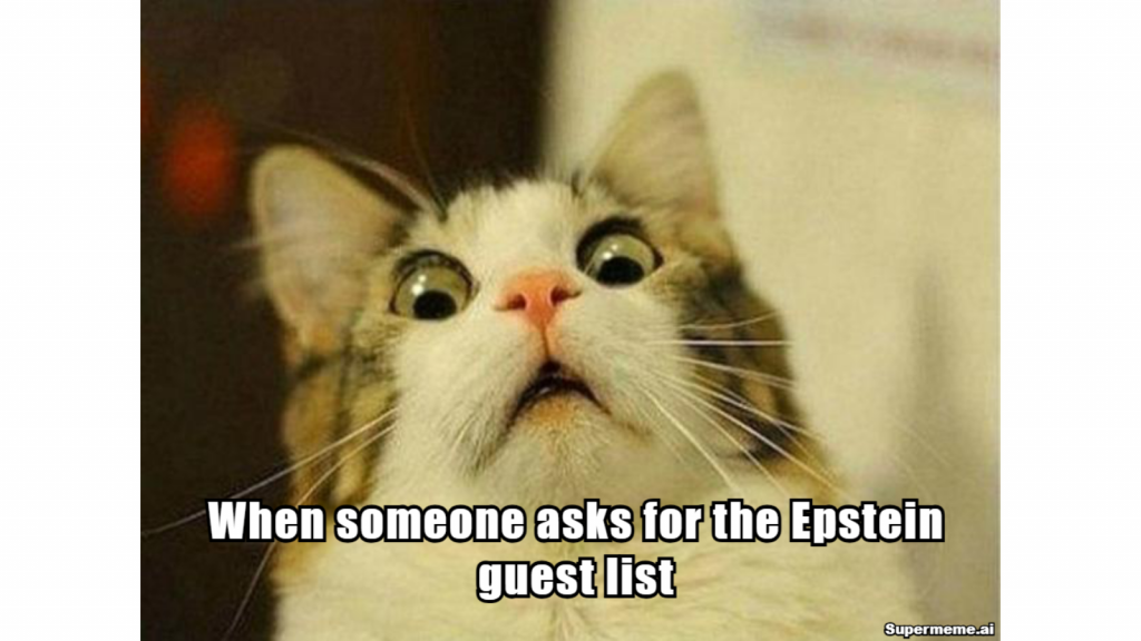 Meme Gallery, Discover Our Hilarious Meme Gallery,